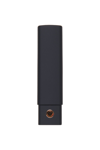 Вибропуля Lovense Exomoon